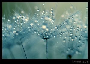 Shower Blue.jpg